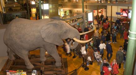 Exposición Biodiversidad