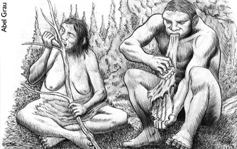 Los grupos neandertales basaban parte de su modo de vida en la división sexual del trabajo